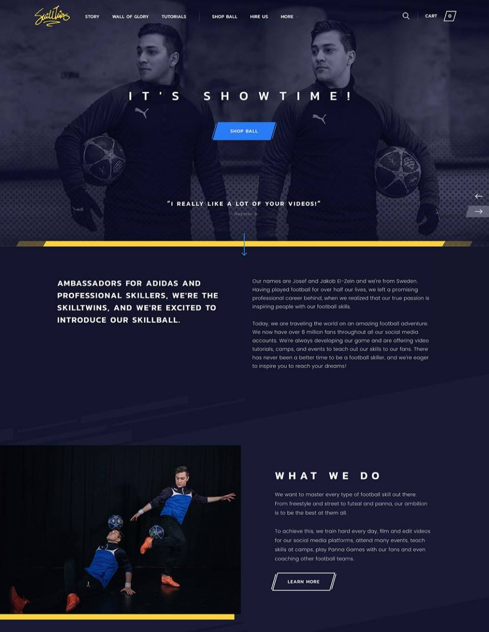 SkillTwins website design